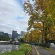 ヒメ日記 2025/11/11 15:07 投稿 仲間有咲 ローテンブルク