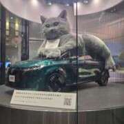 ヒメ日記 2025/11/11 16:15 投稿 仲間有咲 ローテンブルク