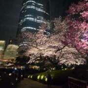 ヒメ日記 2026/03/29 14:21 投稿 仲間有咲 ローテンブルク