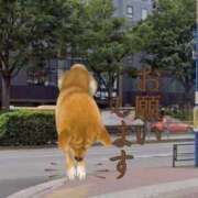 美保（みほ） 初めてまして。よろしくお願いします。 不倫快感