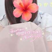 ヒメ日記 2025/08/15 15:20 投稿 つかさ 京都出張メンズエステChou Chou（シュシュ)