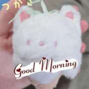 ヒメ日記 2025/08/18 06:00 投稿 つかさ 京都出張メンズエステChou Chou（シュシュ)