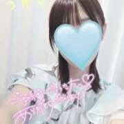 ヒメ日記 2025/09/08 18:02 投稿 つかさ 京都出張メンズエステChou Chou（シュシュ)