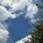 ヒメ日記 2025/09/12 11:07 投稿 つかさ 京都出張メンズエステChou Chou（シュシュ)