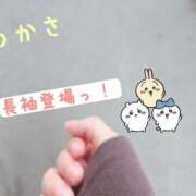 ヒメ日記 2025/09/24 10:52 投稿 つかさ 京都出張メンズエステChou Chou（シュシュ)