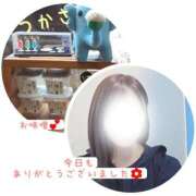 ヒメ日記 2025/09/29 13:40 投稿 つかさ 京都出張メンズエステChou Chou（シュシュ)