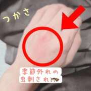 ヒメ日記 2025/10/01 18:38 投稿 つかさ 京都出張メンズエステChou Chou（シュシュ)