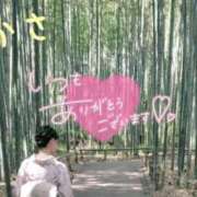 ヒメ日記 2025/10/03 06:54 投稿 つかさ 京都出張メンズエステChou Chou（シュシュ)