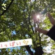 ヒメ日記 2025/10/13 19:20 投稿 つかさ 京都出張メンズエステChou Chou（シュシュ)