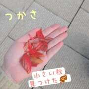 ヒメ日記 2025/10/25 16:50 投稿 つかさ 京都出張メンズエステChou Chou（シュシュ)