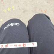 ヒメ日記 2025/11/06 12:26 投稿 つかさ 京都出張メンズエステChou Chou（シュシュ)