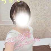 ヒメ日記 2025/11/10 06:50 投稿 つかさ 京都出張メンズエステChou Chou（シュシュ)