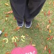 ヒメ日記 2025/11/12 19:37 投稿 つかさ 京都出張メンズエステChou Chou（シュシュ)