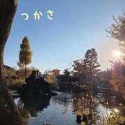 ヒメ日記 2025/11/23 09:20 投稿 つかさ 京都出張メンズエステChou Chou（シュシュ)