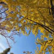 ヒメ日記 2025/11/24 21:00 投稿 つかさ 京都出張メンズエステChou Chou（シュシュ)