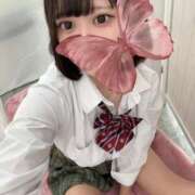 ヒメ日記 2025/07/12 09:02 投稿 かぐや 極楽城(ゴクラクジョウ)