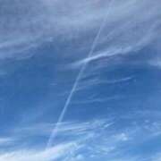 ヒメ日記 2025/07/19 20:50 投稿 リン 渋谷角海老