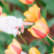 ヒメ日記 2025/07/23 15:26 投稿 真央(まお) 高崎回春性感SPA