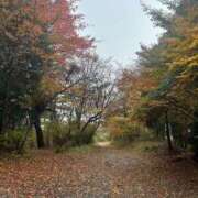 ヒメ日記 2025/11/11 19:09 投稿 榎本しきは 全裸革命orおもいっきり痴漢電車