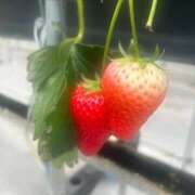 榎本しきは 復活しました︎💪︎💪 全裸革命orおもいっきり痴漢電車