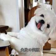 ヒメ日記 2025/08/30 19:02 投稿 ことか あふたーすくーる本店