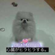 ヒメ日記 2025/09/17 16:31 投稿 ことか あふたーすくーる本店