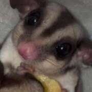 ヒメ日記 2025/11/27 02:48 投稿 みお 京都人妻デリヘル倶楽部