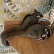 ヒメ日記 2025/12/20 22:42 投稿 みお 京都人妻デリヘル倶楽部