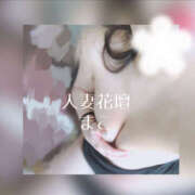 ヒメ日記 2025/07/28 11:00 投稿 まこ モアグループ宇都宮人妻花壇