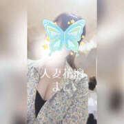 ヒメ日記 2025/07/29 16:18 投稿 まこ モアグループ宇都宮人妻花壇