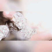 ヒメ日記 2025/10/02 09:52 投稿 まこ モアグループ宇都宮人妻花壇