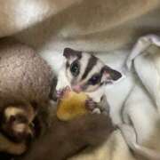 ヒメ日記 2025/08/26 20:42 投稿 みお 京都ホテヘル倶楽部