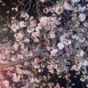 ヒメ日記 2026/03/28 21:15 投稿 みお 京都ホテヘル倶楽部