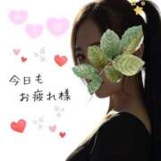 ヒメ日記 2025/10/26 20:19 投稿 みあ 千葉中央人妻援護会