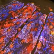 ヒメ日記 2025/10/17 00:45 投稿 きょうこ Queen Angel(クイーンエンジェル)