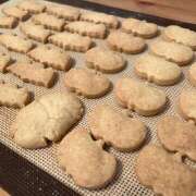 ヒメ日記 2025/10/30 20:53 投稿 きょうこ Queen Angel(クイーンエンジェル)