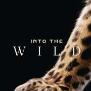 ヒメ日記 2025/11/07 13:03 投稿 きょうこ Queen Angel(クイーンエンジェル)