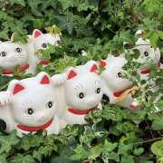 ヒメ日記 2025/12/08 15:50 投稿 きょうこ Queen Angel(クイーンエンジェル)