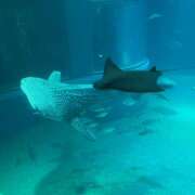 ヒメ日記 2025/12/13 10:22 投稿 きょうこ Queen Angel(クイーンエンジェル)