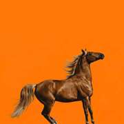 きょうこ その笑顔いつか独占したい Queen Angel(クイーンエンジェル)