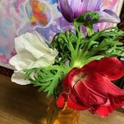 ヒメ日記 2026/01/29 02:27 投稿 きょうこ Queen Angel(クイーンエンジェル)