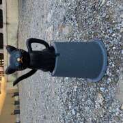 ヒメ日記 2026/02/06 11:55 投稿 きょうこ Queen Angel(クイーンエンジェル)