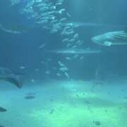 ヒメ日記 2026/02/27 21:24 投稿 きょうこ Queen Angel(クイーンエンジェル)