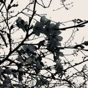 ヒメ日記 2026/03/22 21:52 投稿 きょうこ Queen Angel(クイーンエンジェル)