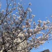 ヒメ日記 2026/03/29 22:30 投稿 きょうこ Queen Angel(クイーンエンジェル)