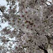 ヒメ日記 2026/04/04 21:09 投稿 きょうこ Queen Angel(クイーンエンジェル)