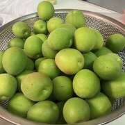 ヒメ日記 2026/06/07 23:46 投稿 きょうこ Queen Angel(クイーンエンジェル)