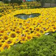 ヒメ日記 2025/09/08 14:42 投稿 まゆ(昭和49年生まれ) 熟年カップル名古屋～生電話からの営み～