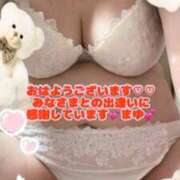 ヒメ日記 2025/09/27 11:10 投稿 まゆ(昭和49年生まれ) 熟年カップル名古屋～生電話からの営み～