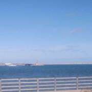 ヒメ日記 2025/11/23 06:30 投稿 まゆ(昭和49年生まれ) 熟年カップル名古屋～生電話からの営み～